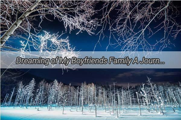 Dreaming of My Boyfriends Family A Journey into the Heart of Our Future Together